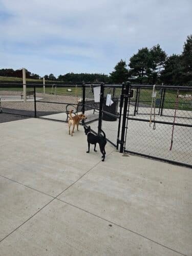 AC9h4no VFoAykq9BVlMty07d5YJVYVAaQ7YQrsdDgpA41kRHL6ZCjZyrEqw8PBP0ZKaI0uqibnz6hSRI0n7h637q8YgsZA5bLlssbRCNMAAokOnsAsl1HDoVxt OC39i1wkQjntSfqJOQw1600 h1000 k no