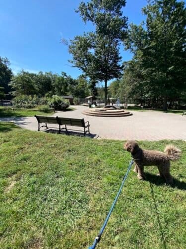 AC9h4no oWdd HusEpAdgi27xqRu7IIDPaEYy BKnWFkz9cFbfyDWdbPYMevGKWzHTvc61 eX5haqrM6avx1KPE7Iy95BALcnaiFuTNv811SBYv4Az5olIq 2LIxVCFW7PZ4Srurc7FSw1600 h1000 k no