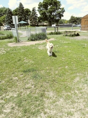 AC9h4no05YR1cHOYMZUipv57mvbnqJjY0cUzUsuvd3uBMwZf4bqXj I99H7j7iKjZ daSxG0AbjqrkxKGUK117aiNe8mafYh3Yf F1eT eysIaNBwqjZ6wxfLo4q3JC9fVe27FoaKPJ3w1600 h1000 k no