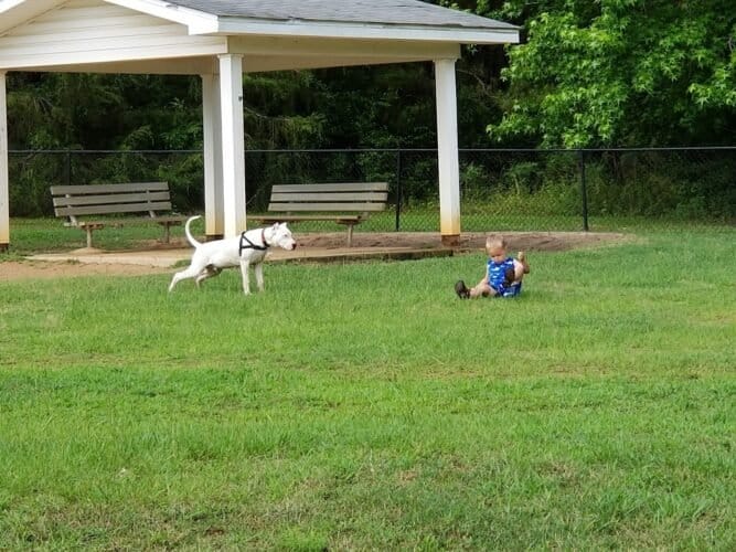 AC9h4no08lRc8G74aOEaKGwQFQAPkKWJppzuuS74Im7dNBvYQBJL2xWUO6dx3YjVduT5GlxOTXUU0qQmnncnG5iyG12seaCMs8jeQ7JTRPfRqw xvsJajKscVDMFlrX4Xck8f95Dqcw1600 h1000 k no