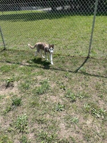 AC9h4no0HQpoWbXcccxCYOxa8v9Lv7qYjh5O5j3X6HN4VQl9BKXUX0jsKfNg5bzqwKsyuQSuu62sHROKuP091lTZ7VzcnxZgHm8Y0EG10JWQ3F qDf437osEq SaDyKEZJpH8tcZN7ww1600 h1000 k no