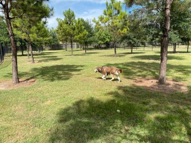 AC9h4no0OgTwSGd2GeyOuPEjkYNZOHrm226 WKgI5LMujBHUthnP p5q81ChxJBqzpSdZ5 MqM2UboLCMSiTe0MinWZi95Y5xfMizLT6IbGbO6TjpYptxK9DYo8F0rI DUziOPt8vlxxw1600 h1000 k no