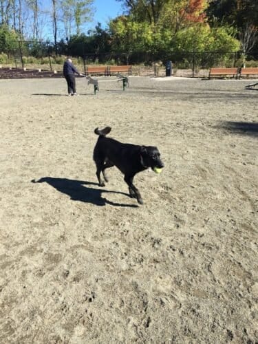 AC9h4no0 4kXMwXQS8F rLbk2MXubLMbzmrhZAEsiMdNHgfhUilOnCZWEyXocP m1Cjk3IWoY vkxqADS7bRMQVuHB 405R8Ra4VNi1U G4  O64iphnyAGJ1shfFxRWXu2YMUSWldI7w1600 h1000 k no