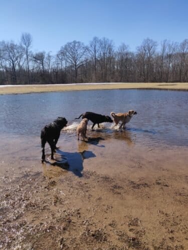 AC9h4no0bzmZ t0JcGy BOhKl6jjp3zorhEZiCPGNCeGei0Atw14gj BpPaNVk 7ppXQe7CqiMz1U9gTsshPo6Pp3Wri9Edi47sKCXNm8C1yrkdwe9heOp1Ys7ynfNF2Az31A8tUDOUw1600 h1000 k no