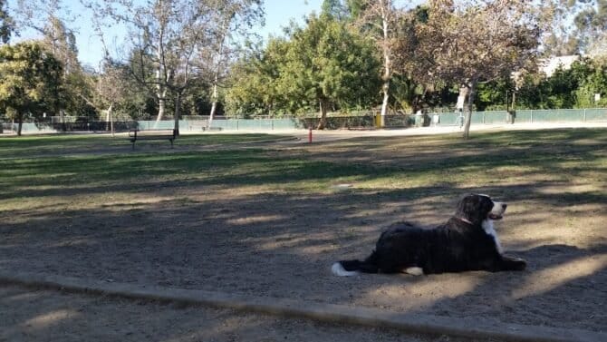 AC9h4no0jTPpYVuqD3XFBr25ddU8vm8Q0Zsip8z007BrOvYxB1bm 6ISNvnBAd5H7hwONceaIEnzcXG2Z61mvrmg7qIEapA5hXhpXD 4vx222ULo2bHHY8KtCDwldU04UHAUeMRExFKzWQw1600 h1000 k no