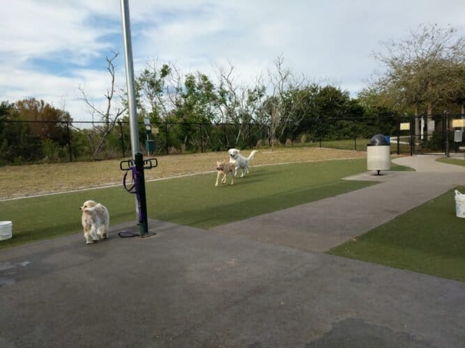 AC9h4no0uK4upbfiBZMg2tEmbyJ0IajmFyGaoPWz9eBvqunUcIf wDXOVjpsfAYfhhallWEPWV55cw7ayFaaktjaOn9TnWqKXAfHxekcSFV4Hudcm6cr1VSmBohIt2IF1dWE2 tq6hgAegw1600 h1000 k no