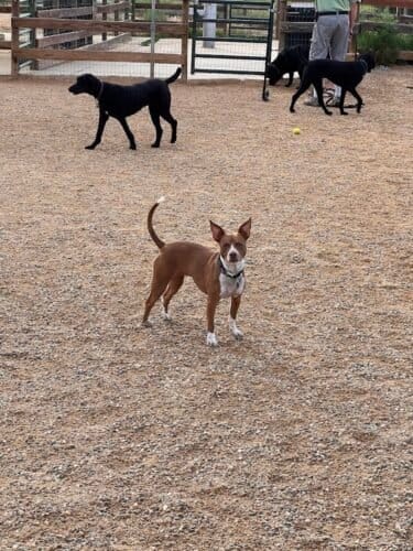 AC9h4no1AWBfk7YJhwy5BMOmOHmXeezjzBk2LxNi9a sxJ i79OMPh0B3ZcfGz7jnkfW7U8fpw2Vktrmw0eI59HaeJEKL1w3VTpmd3JZW4d0U9vHXww1600 h1000 k no