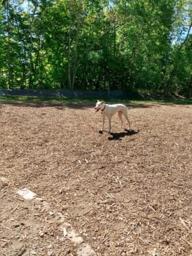 AC9h4no1GOWaXddhQtWmhua5YrV4YUykdB7VoLko3KMOoQh3 5pS5IpX6ZcXCjX9PPXZH0x3Gcer2G1InTXqjYFVgIhtrDyP6v 7YTxMCww1600 h1000 k no