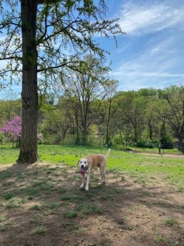 AC9h4no1hdb6UlXOG1qwpzDiT7lo8zq9MibLIckr0ov7o8LQuiZgdbC7BrMIEuEvGPPn9sM9ZohzbmTPuTVmJekzQsqoJHhLwSm0ZOQqJnOKtG7zQNNZgO tIF gN2keLznoNkvCvQn7w1600 h1000 k no