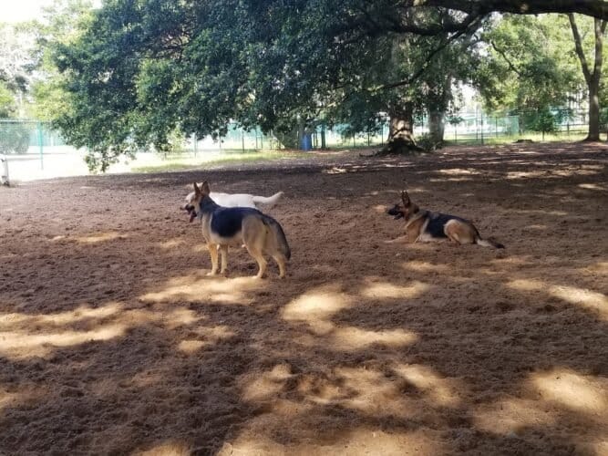 AC9h4no1jXVywaj8mrlz5FMZKGhncrnplktXB6HU7miEKlVrjFqZB6E61NZEYsCXS9T63ZXz3bSoLJTtFPrSt3SCvec l4 tIPbj8lOVq872uFzAA N8ncrpYH3ijFFGKdz3Ybjrok4jw1600 h1000 k no