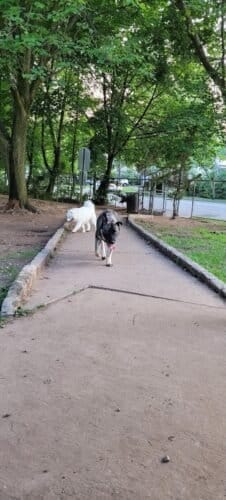 AC9h4no1vDiT3iiAoczR2CG9bNenEwyZbXVPHfwpNmOo5g611SuYd0hi2bv40ZE9VS2 MedYyAj6c0kiQR B3PrN 5nMiQ16PXdFvd8Ub37FQdeNz0LEu1AANimsgODn2TGQcJgCWyqw1600 h1000 k no