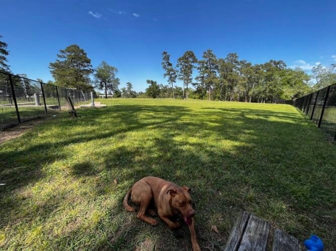 AC9h4no20zB58ZyTFW d7HtsxVm9QiQHBCIOMmr KJRkWjkcFZPaL91sUqhwGiZciHCTJRaMoCH5eShwqEAKREjVjvpE90qXushWOw1V2EnsT0IyuVggiECL9517SDNpUzIscTNdWVEw1600 h1000 k no