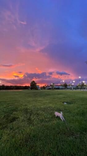 AC9h4no2BVvlN9n8izo1vOVX7aCvWzr4ZrwtvI3fyH DbUc9sIRjf0DuC7LdJnDJXb3yGg1SEqBS2 uaGOGARCq5MVJUttmiRuAlR TEy  BDvpQaw1YO66uaa DrrUopUg4 zrQbtRrIww1600 h1000 k no