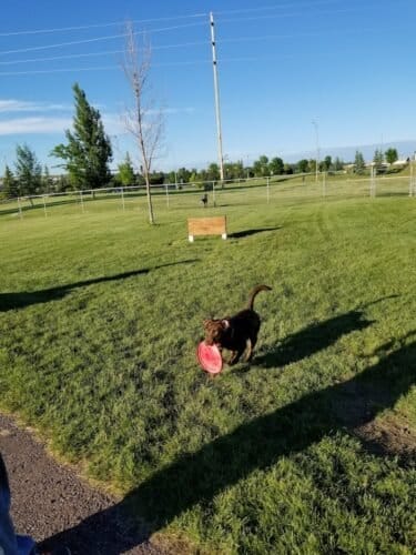 AC9h4no2H LC3obYyZsznQl RszFP1OxdiTDemwcsCe1LHWd0v90WePMk 7XxaZmNdXKhAkx5pAUSV FoBz0DkoiglKzdTgO8xk5XHBJi2C9m5SxVfWJr KzIu6YuVdPyHupP3UJ4zpRuQw1600 h1000 k no