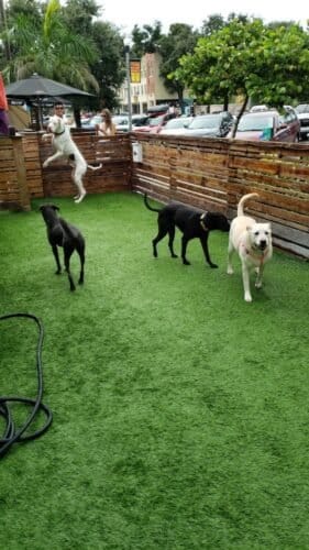 AC9h4no2LXtaGLSaNK7Na0CbPkir9pkLLAWWeIQM4vvXPlSHrxiFFNbKA44vMiZ6tA5PaJRCNBAkxLJYxKj7GEKxf9q 9CSZGwZB4A7hWlGATGTYlmoOXtH BePwS7em MXvyKjgTC0w1600 h1000 k no