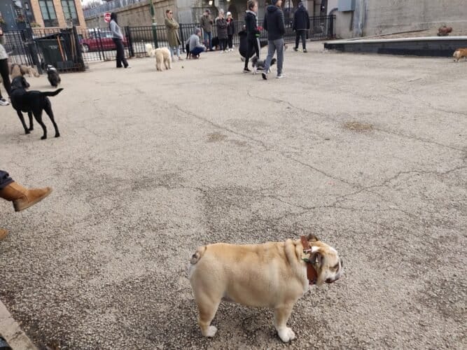 AC9h4no2PLA RYsjKRzxcZIOfbHAXv4XJl0HC64azvq1VRr4GxguKdBUBHFcKldSOP2ywpYxUs4QaUfhPocA2UksAaSZBwGwocYGvrNlHIZ4z5 H5o1aCRFnxzDz sZN4BSASMFbmLJPWww1600 h1000 k no