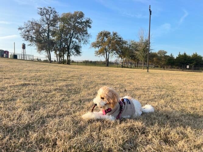 AC9h4no2fqLVDGYctkNtx rmRtXlXJHNJZKs Y3grORHqxKyFC5qhASS Y0ZlOOHbAxGZs2 fctASdpE5po35j7HN6VMfN61rg4GB20ZZYFZb5TrGoR9ZJRtG9j CSwFqAMEmw2AFfERXQw1600 h1000 k no