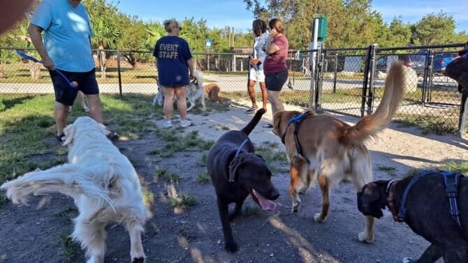 AC9h4no2j T7xGo6lkT3ouLZvTpFrihc0 Lof2KgKAsCUqHDK8JTSKuDLnNUNAlwhK8H3TJcIRkrTSa41QkKgH6Um p9mdXxfGGGJmHXTTCG918EtDyx8Q DGzjsYe 0nG8QzSvNEFChvgw1600 h1000 k no