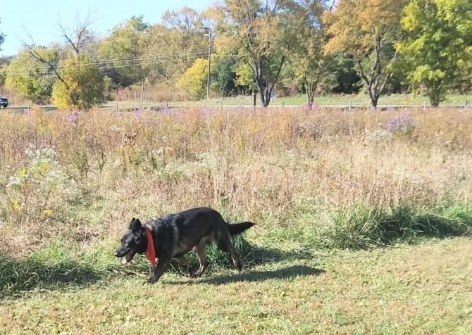 AC9h4no2kSyV9uGYIMk cwYKurQ5q3ZAz3pHHkX1d kyIFA QNP0nCQZ EY3R48Rsq0Ezi9sk Ay70mQB mG88EjF35IhBzdJmphMvkYw1600 h1000 k no