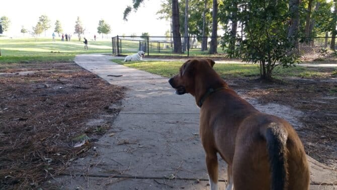 AC9h4no2nMA OM UXIznvDHfaYgjhs6VGIZKrQsBdlei21mqN4N19goqVAuV440QcvII WM9H9YLMQX8s YDBkO2hieulF4DvP69xtpIxnXmJbEzX0NNDDTSDfsKKGrQKCwF6BHPVbH6w1600 h1000 k no