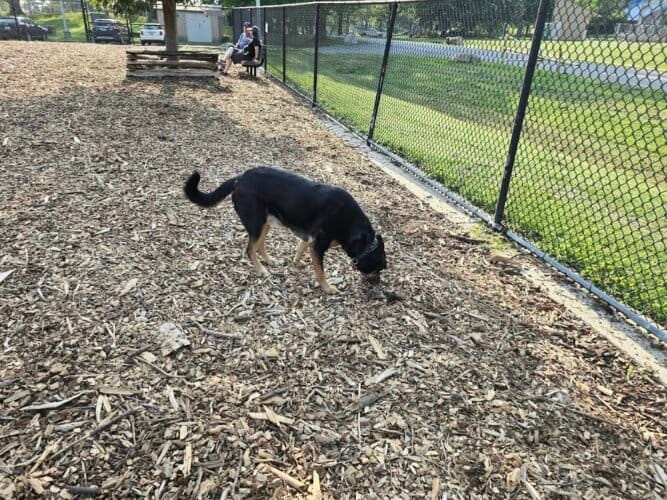 AC9h4no2qQy5F4PsrYByWHCIfRiDriWUEmF26fFOMMqXj63l3 R8UjKRlpUmfq54aiWLe2UBS1cHJr7mHyKjUK7HzL5pD6DejASz08BDq7rJ2jxPkMkKCzqpkJvc5XAggCYKNmFbLSIww1600 h1000 k no