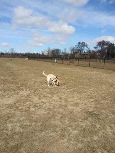 AC9h4no2rBYrbFd0w4ENzqgwiqA6D6Vrb7uyrp66eLhce39jCu4 MtGrG1qE2O7Sw IM5YyiFfUIcEMch613afD pHDq0aO9 nOrGvvYhLMRGLaI2kmBTasUW7Ldyw8tL5zFVh SVdQNw1600 h1000 k no