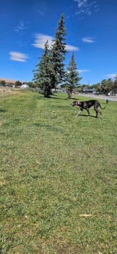 AC9h4no2sv3CPGWF2xFLSj9O4sqJJbeWLgSCURPd l47RdZfRFz2WrlgsxdCzjE7yIE6QRsyzIdp5Ol 8vCl57kS0JWmFKH7kRYb7B5H8EmTjfyf ede3KGfMdqv1gWMjSaYiBuS7FQw1600 h1000 k no