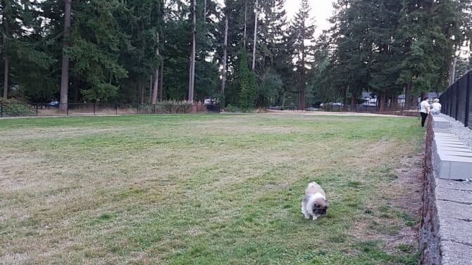 AC9h4no2tSHHj19HWPcdZNfyQuQUN7EHmXkqoYyROvjufY5rmR7 L9P4TfkuT4gSvIDMZ3koJtb2oZSkf nu7NmLunqxTd5f1XJb0 WyMa u58IM8uID8TZRj8Vg5rOOZ6ca8AAArUAew1600 h1000 k no