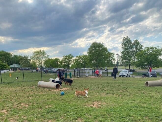 AC9h4no2z4YrnlSQ4yCxMvkLEZA5X0KMDpN08ffG6Dzz StGqVKJTQIMAAkD1BqF63fIkhgK Z8y09ho X i7qVnAOdwXbFdNXAJ8zoL46rR7WTN1f4lLO2lKieGvqmZilVxt3xzzCZL3Qw1600 h1000 k no