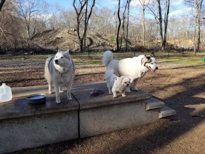 AC9h4no3 8asrI 1zT agywkTIThueJNaVZbZZEldvQkrgy ITIOsBRxsupaKTx7EVJQJS GjyXqeOGJdw33AspwOBTEkwiLcpUzoHN8GWZJ5oBP9fKEIrRjhktAOFPzsgvjR l1OdX3w1600 h1000 k no