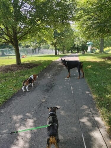 AC9h4no38BRQhhDaTV6aKH3pJm9nG5EJ ftBk444fykha1cxluNw7xYRor1TX2U uKilQdi0hf1QdQypCj6Lazi6AB1HhEP0FWFs2eV4fFG5aulkknuECm4Oj1uDHqjNZn7EFJQ3F6kFw1600 h1000 k no