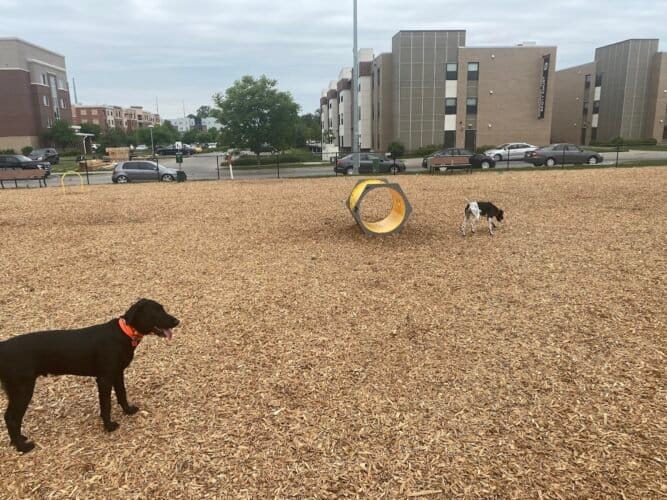 AC9h4no3C8qZLjQujpmGiez8viJzMEZP1r4g0IbWFGrfFcUPkNhdYDWNO8kJ3bVZMpZaweEZFTNQ1fPSmC 7IOIAbrsJsmEimEjsHp77gJl839uiJ2EuzbmNdO0h5ujSCrMqscuIAkbdw1600 h1000 k no