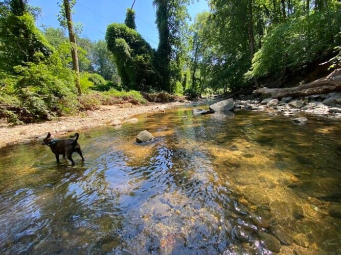 AC9h4no3D91Yi5MINDxoOLFiXSwhDyhrhk0faymRZIzac0 vOFhDA7k1Njzpb3 Sbt8v6L2eVQqANp0BvZaEw8Le0qL ztWZBilTjanPuww1600 h1000 k no