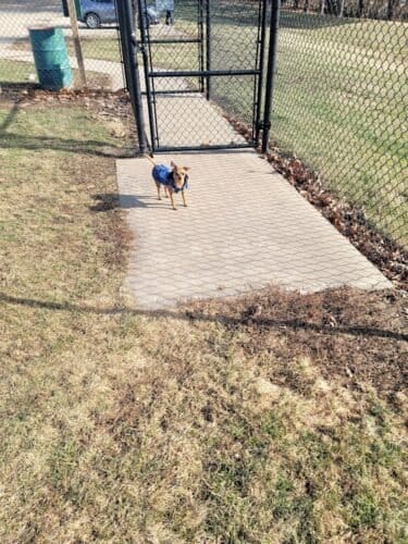 AC9h4no3L2KnI0k6r20EtV6LwQIcI4wLoPXI8GipZb BReiP5PzCGHXLr ALwmIALtjZcxyOHugaBpBt fVLviCNJKS4GXy2a5GfEH29B2lPBmnBShGIT7se WBijKWc2KfafGWGX Aw1600 h1000 k no