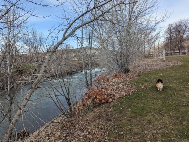 AC9h4no3ZI7op5L gJSveCOjTc9CGE PHAtg4sxs4HnHOvrYPKRyODkAMe 3EGtBt3SRum559WearildFEYEB0rflKHcgE2JiBnoLdDUzLO8sP36omwY5RnZyopKc7EFTHrtMiNZMENSlQw1600 h1000 k no