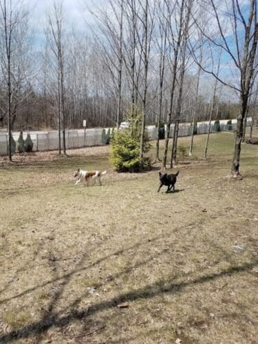 AC9h4no3npI40Ah5YhXU8Yu728aV7BRjBxuRtp0rBRhMyiAkE0j44hQwCKQKHnByXs5kCAec0b U5cP 7KlajHUhDGAREZzwZXUHqbAuYfGJqn6iqyQFvpx2gNetDB UmiHELmqjAJ2JJgw1600 h1000 k no