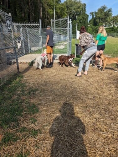 AC9h4no3p54iqifloajn7WsXOIo5YTRPi7 z3Yx9pCtv t5yaqaisrgkxvNyopJqBBmjFz1AvQnUFvZwy KNeMoQZWIsZjcciUZa h u4Bim0y8pQYrqagnxR6LLLxQhgWdL26nIL8iw1600 h1000 k no