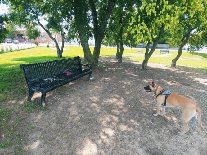 AC9h4no49dFoFOQxnBHpQRtL9jHMhOIgD86i6jhl0sV1AsYnpM6OSA3uVTMVB7o9YigkJGCCd9RdifqC6cwg9UoPUfe67uwbGb0Vagh43tdpTvccflbBJOJuo1zDJhvHS4slRld8Bukaw1600 h1000 k no