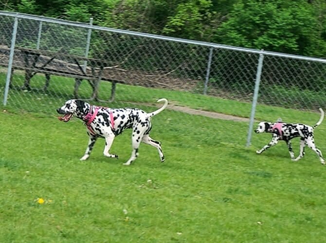 AC9h4no4IFx0snPwQQPgJNhTFNbXLHyf7J5mtCWSFU3DWWkLdtQSxPkqlphVMBiq75 lDoGNEfSRNGxgkS QyarHxxQSc85bYvpRwUJheBVMpw z0L6wsqDOKcQO6buie70oHkL8YWjPw1600 h1000 k no