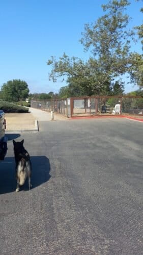 AC9h4no4JggWudf PrU5psdoAPgrPQ1S3GO83sONkiiJf15B0eUqwhw3CLm5lu6yUejhvRbmWO2Rc9oEhtePNR1rJWGcCzbjKabXVZJQMNxAkrcVZjn76FZAfTcZS7b4 MXpxK8R2VObOAw1600 h1000 k no