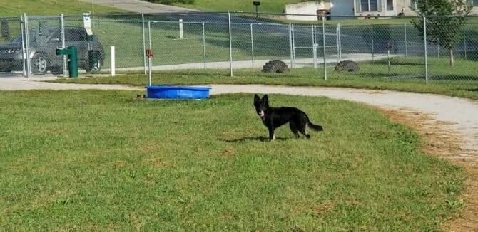 AC9h4no4K6RYu6Jxs teYV1lzt9psVvYEIyzrx5YHmUXuit OW On3 7wz4L0kAdGifyxr1CLB4tb9VapM7EFDP2dADkBisTvJ7pjmVew1600 h1000 k no