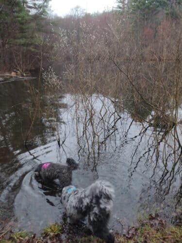 AC9h4no4vG30EIwKmYc8I09fqC0u3c1Bwl0IvHxd1EvNo2B4oAFf9nTf1YiJh5oB0AmX7OZpjMkY2RXG3BGIGvbZe7KJO wd29Ey9aiPCroV nHt lokgBNnp n4ccYMk8OyB8sVWbQqYgw1600 h1000 k no