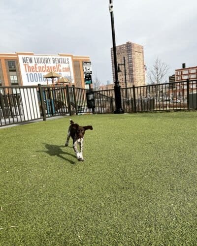 AC9h4no58HJDwzREPj fBbYNV0VWAKssADm3QEVgXqB5rG1zglJ816dqsbZrcp s kkU0pLuEgExaDzcyGuhWc7QPxh W7e10JTNngCJHER LwRAfJuak8mN S0y2eChb7sqXJJi1WQ5Igw1600 h1000 k no