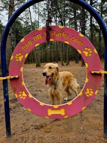 AC9h4no5G6t2mu1NYDGAtO15Icucl5emSkbc KDZ08kQhiEWfveuzzol4vCNEjsp7gDTZRtd8mE ToGxcOERy7hv1ZGhg7GrgSRPrCG4Z7jsFQ8cP2X5NmGOzLSF0YW2yuJkAhwjjGaZQw1600 h1000 k no