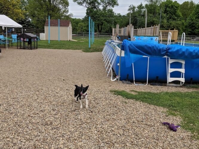 AC9h4no5LVNmqI82ZL9gLliydmt8kGx0CeG3H3IdTlXNdIjaAopxa3VlISQD94l2b3LVKet5Z6cKiSJ c7CmAShZ zviK1kX5zGjb5soA2j1Io fvLf5BaOOtkDdU9kQxQZcErm2XbCWw1600 h1000 k no