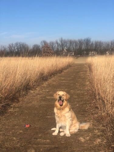 AC9h4no5n Lxv71Z4zxSeIRcTYXtMcsI YKzXfhMKwjgqpBRDzkERJTeE7LygOLtqpPhGULfwArFEvijpSSDkN9JGWL6QYm fiCP4Qbfack0xQOKHe7td9Zd4XInG4zyqSRwIOx5 qsw1600 h1000 k no