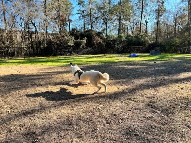 AC9h4no61oQ0qfNiulHAzuvQQdhrZg1jlEIbwTc  Oy4ySFIG yeycpW4aGYy5miWR1tYjc5RRkuV8YiYzkKQlpMlVlQecQQK4rn Ug9IbGiwF 5ZB3WYdgfKGtxLyunF6jbAPh Umi w1600 h1000 k no