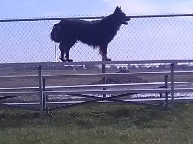 AC9h4no66q3o jdGKWwsELmQW5jg6WRshSOEiVUwswLiKPB6Td0I5ZBwH 6Nc3UOpwbRXNPzbWuWa3uBjHAsJ6RC1kExQG6e4nxAh Za 3tnjosufEIO1pRkERmFt2Ju ictpXKIsLyvfgw1600 h1000 k no