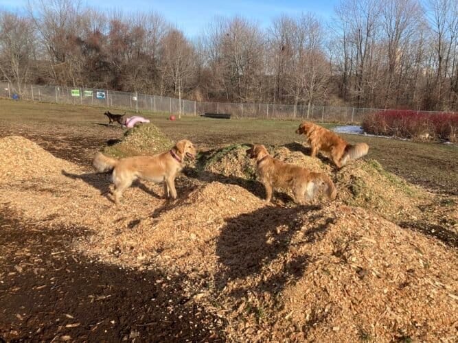 AC9h4no66wIs3jVF5FGIMxzrR2zOUSLfy52IvT7zlNAY xuxgW2Y7YqBB9vQ3WCJZ7aiNZhoFU9x1E6KB9HSrM1C Y3Zhw0BalYV2LPSolcIr07uwrh9t1OhEWDnnD1PH97PpnO1pz9Tugw1600 h1000 k no