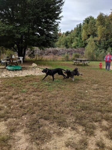 AC9h4no67UQMjLKBrIiJSSIskmMUXyQRxTa QgSFv8C8mNjXAViHMB ZC8AJeFIf7 uzzSGsSmbuFd4S dzXDKEyrLbXy6LBKE3TKbfgygqzT9Dstj82DteszGtWF0mP9TdwMF IoshYw1600 h1000 k no